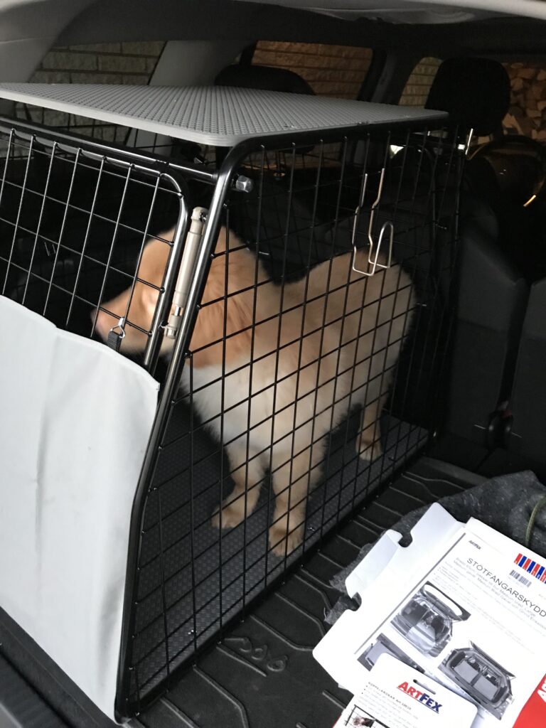 Overtræder fe Ekspression Hundebur til bilen - Kriterier, valg, tilvænning og installation