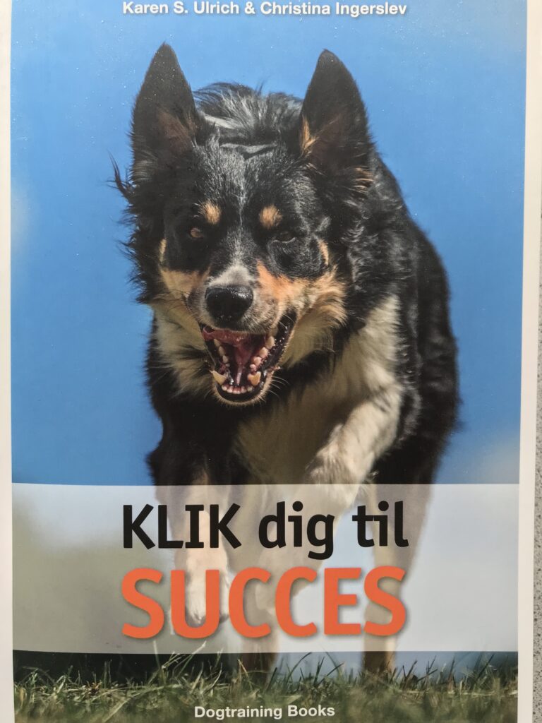 Klik dig til succes